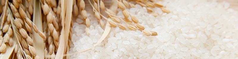 Best quality of Japanese rice products