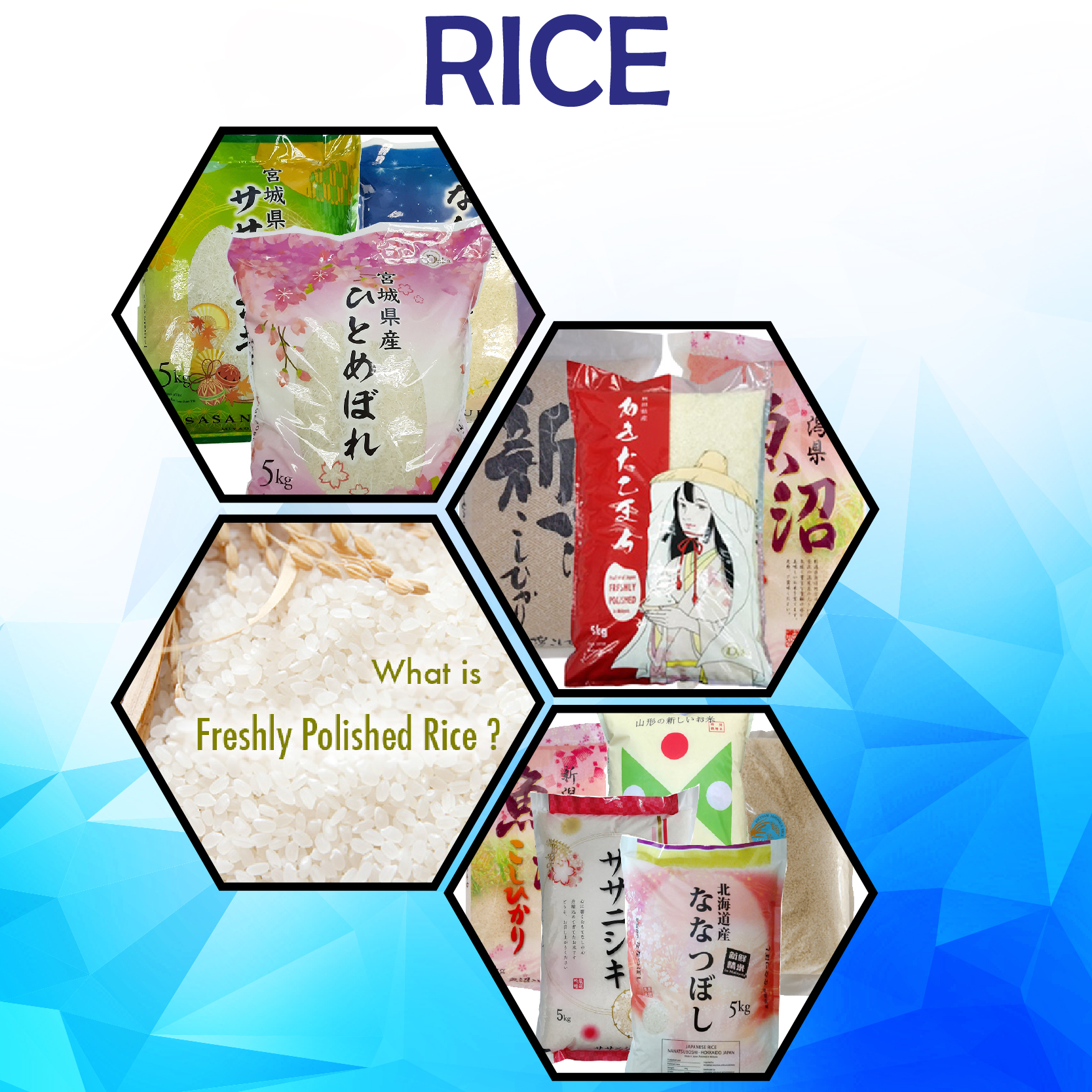Rice